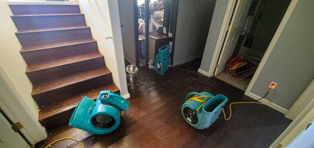 Best Carpet water damage restoration  in Palmer Ranch, FL