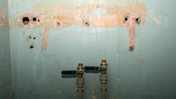 Best Water damage restoration near me  in Palmer Ranch, FL