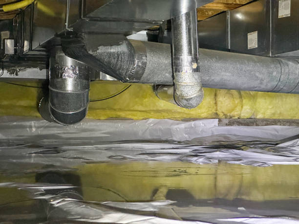 Best Professional water damage repair  in Palmer Ranch, FL