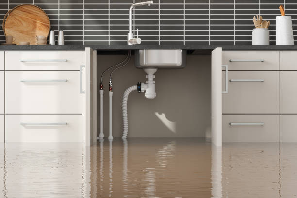 Professional Water damage restoration in Palmer Ranch, FL