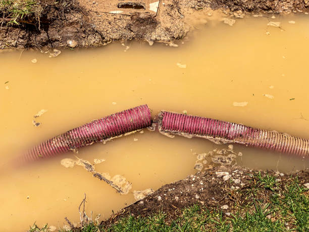 Best Water damage contractors near me  in Palmer Ranch, FL
