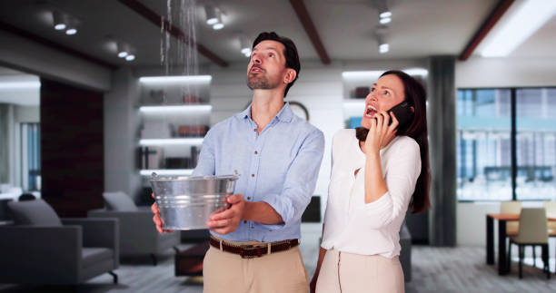 Best Water damage cleanup near me  in Palmer Ranch, FL