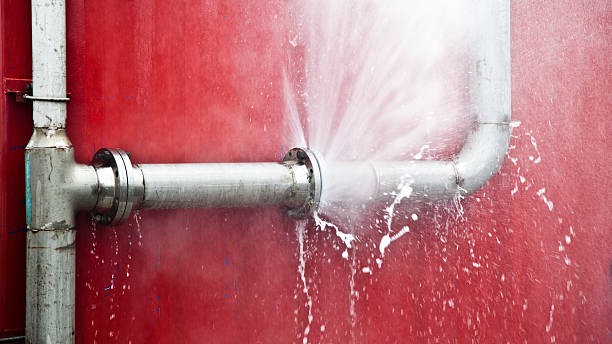 Best Basement water damage restoration  in Palmer Ranch, FL