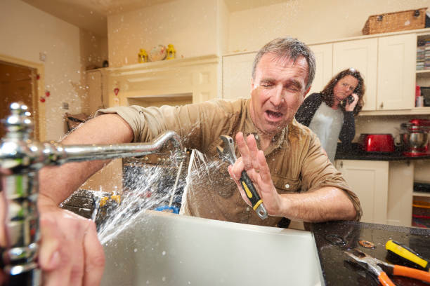 Best Water damage restoration near me  in Palmer Ranch, FL